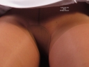 sheerio_050580a.jpg