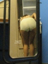sheerio_044173.jpg